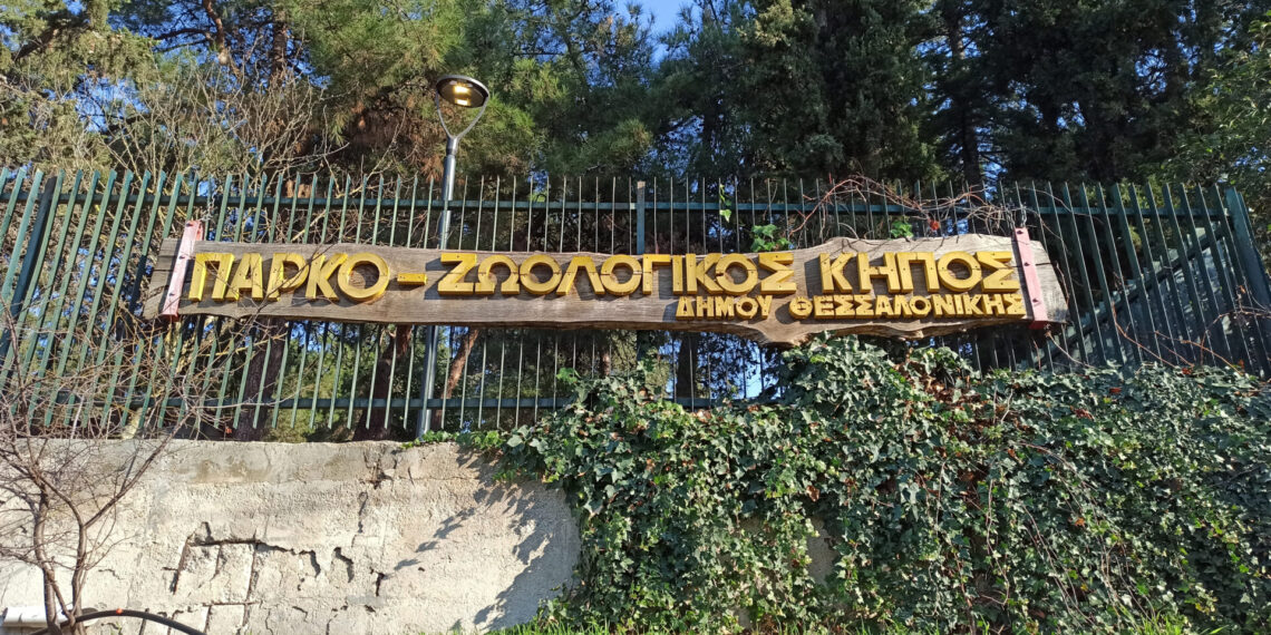 Επενδυτής για τον Ζωολογικό Κήπο – Ποια η εικόνα σήμερα, το επόμενο βήμα