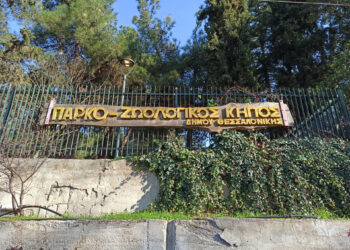 Επενδυτής για τον Ζωολογικό Κήπο – Ποια η εικόνα σήμερα, το επόμενο βήμα