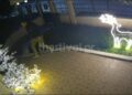 Ρετζίκι: Ερασιτέχνης κλέφτης αρπάζει χριστουγεννιάτικα στολίδια από αυλές σπιτιών – Δείτε βίντεο