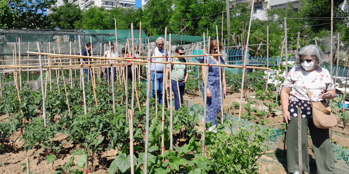Σταυρούπολη: Ο Βοτανικός Κήπος που έγινε σύμβολο περιβαλλοντικής παιδείας