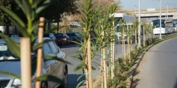 «Πρασίνισμα στη Μοναστηρίου: Έργο-βιτρίνα ή ουσιαστική ανάσα για τη Μενεμένη;»