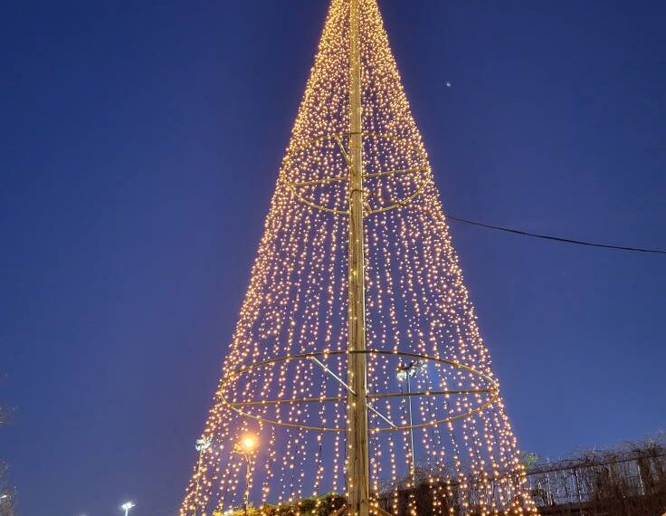 Φωταγωγείται το Χριστουγεννιάτικο δέντρο του Αθλητισμού στο Αθλητικό Πάρκο Ευόσμου