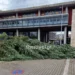 Θεσσαλονίκη: «Γκρεμίστηκε» το χριστουγεννιάτικο δέντρο μπροστά στο δημαρχείο λόγω ισχυρών ανέμων από την κακοκαιρία Byron