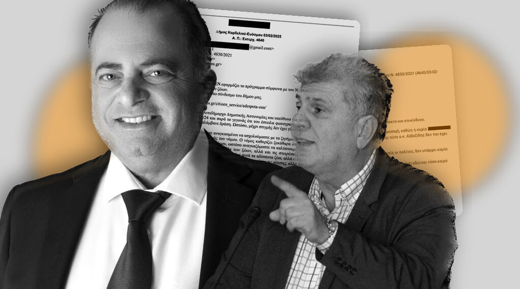 Σάλος με τις νέες καταγγελίες για τα αδέσποτα στον Εύοσμο
