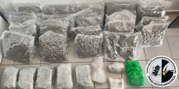 Θεσσαλονίκη: 46χρονος εντοπίστηκε με πάνω από 29 κιλά κάνναβη και μισό κιλό κοκαΐνη (βίντεο)