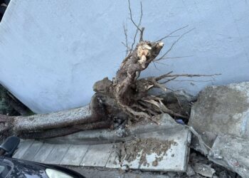 Δήμος Κορδελιού – Ευόσμου: 40 επεμβάσεις σε 48 ώρες από την Αντιδημαρχία Πρασίνου