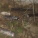 Κυρανάκης: Δολιοφθορά στην τηλεδιοίκηση της γραμμής Αθήνα – Θεσσαλονίκη – Έσπασαν τσιμέντα και έκοψαν καλώδια στο Πλατύ