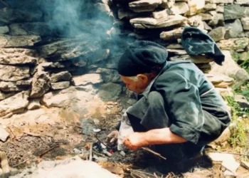 28ο Φεστιβάλ Ντοκιμαντέρ Θεσσαλονίκης: Για πρώτη φορά στην Ελλάδα προβολή για νευροδιαφορετικούς θεατές