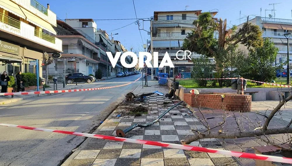 Στον εισαγγελέα ο οδηγός του ΙΧ που παρέσυρε και σκότωσε 25χρονο στην Πολίχνη – Εικόνες-σοκ από το σημείο