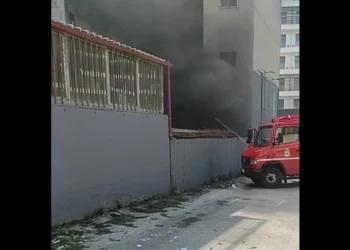 Δυτική Θεσσαλονίκη: Φωτιά σε χώρο δίπλα στην «Πύλη Αξιού» (Bίντεο)