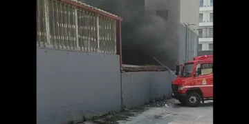Δυτική Θεσσαλονίκη: Φωτιά σε χώρο δίπλα στην «Πύλη Αξιού» (Bίντεο)