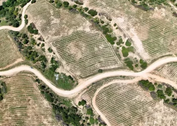 Θεσσαλονίκη: Τον Ιούνιο τα εγκαίνια του περιαστικού δάσους στην Ευκαρπία – Φυτεύτηκαν 100.000 δένδρα