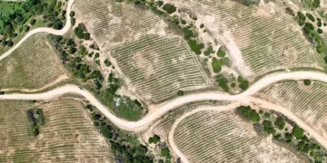 Θεσσαλονίκη: Τον Ιούνιο τα εγκαίνια του περιαστικού δάσους στην Ευκαρπία – Φυτεύτηκαν 100.000 δένδρα