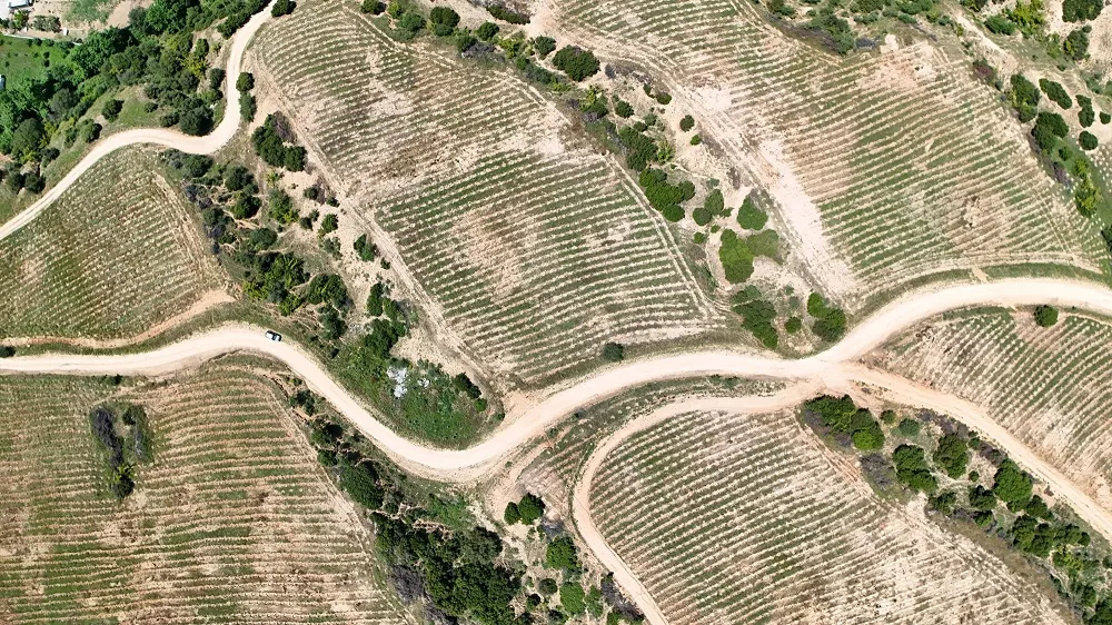 Θεσσαλονίκη: Τον Ιούνιο τα εγκαίνια του περιαστικού δάσους στην Ευκαρπία – Φυτεύτηκαν 100.000 δένδρα