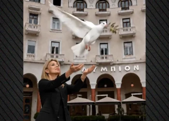 Επιβεβαίωσε η Καρυστιανού την ανακοίνωση κόμματος με AI βίντεο και ένα λευκό περιστέρι.
