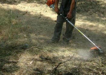 Ο δήμος Κορδελιού Ευόσμου ενημερώνει για την υποχρέωση καθαρισμού των οικοπέδων