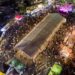 Πάμε Εύοσμο: Έρχεται Food Festival στο Γήπεδο Αγροτικού Αστέρα