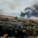 Χωρίς ενεργό μέτωπο η μεγάλη φωτιά σε Ανθούπολη και Φιλοθέη – Μάχη για να σωθούν επιχειρήσεις