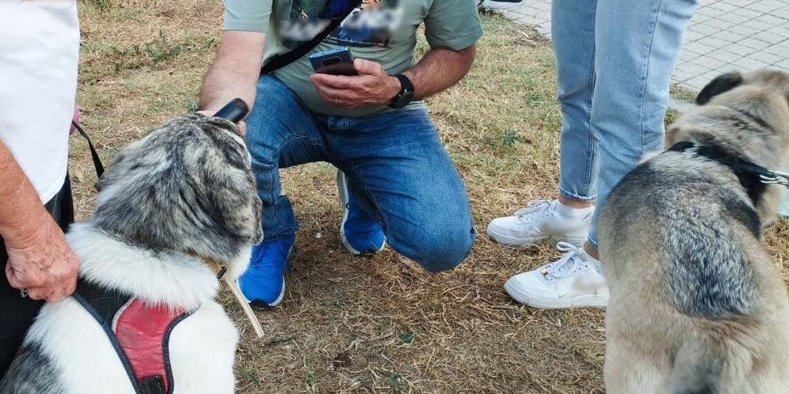 Δήμος Κορδελιού-Ευόσμου: Έλεγχοι και πρόστιμα σε ιδιοκτήτες δεσποζόμενων ζώων συντροφιάς τον Ιούλιο