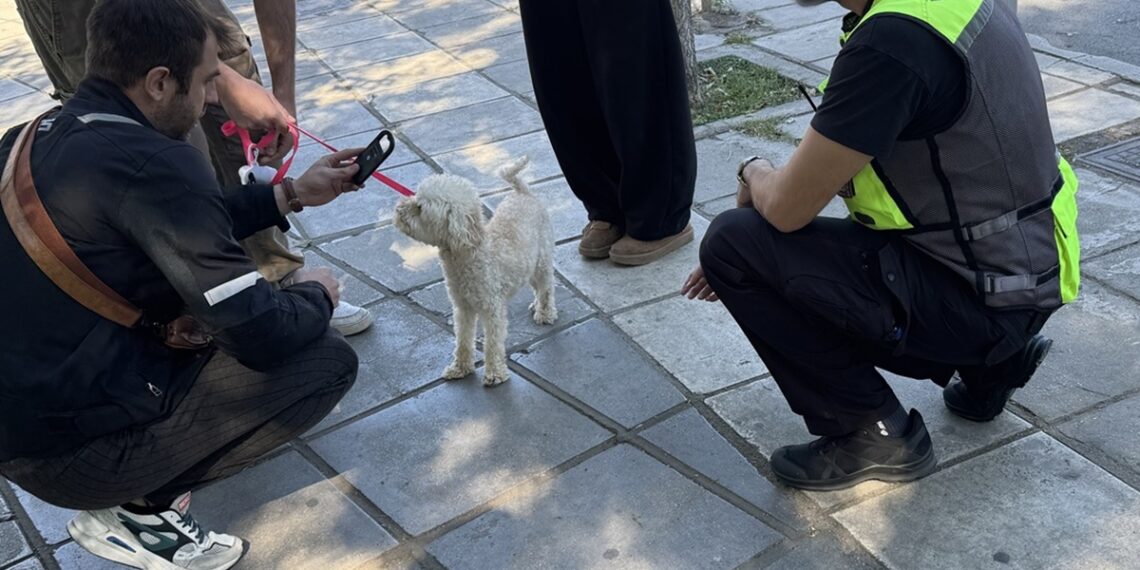 Δήμος Κορδελιού-Ευόσμου: 142 έλεγχοι και 20 “καμπάνες” σε ιδιοκτήτες ζώων συντροφιάς τον Σεπτέμβριο