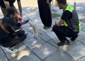 Δήμος Κορδελιού-Ευόσμου: 142 έλεγχοι και 20 “καμπάνες” σε ιδιοκτήτες ζώων συντροφιάς τον Σεπτέμβριο