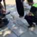 Δήμος Κορδελιού-Ευόσμου: 142 έλεγχοι και 20 “καμπάνες” σε ιδιοκτήτες ζώων συντροφιάς τον Σεπτέμβριο
